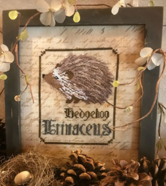 PRHR - Spirits of the Woods - The Hedgehog