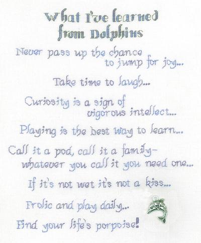 XNOH - Dolphin Wisdom