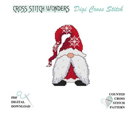 CSWN - Santa Gnome