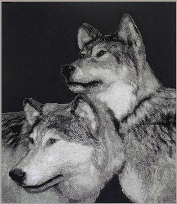 XNOH - Packmates