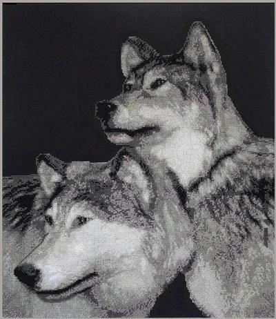 XNOH - Packmates