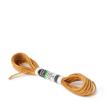 AVAS - Soie d'Alger - SDF-4233 - Lion