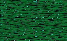 RBGL - Silk Lame Braid - Plus - LM-0095 - Medium Christmas Green