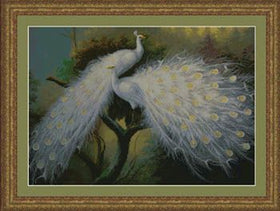 KSKR - 95183 - White Peacocks 2