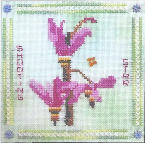 FIOR - Shooting Star