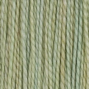 XXX-HOB - Perle 08 - 006C - Golden Privet