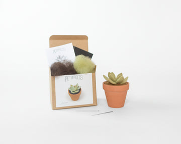 PTFL - Needle Felting Kit -Succulent