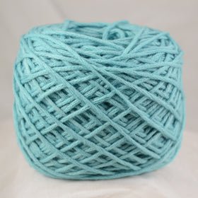 VC - Nikkim 0591 - Kingfisher