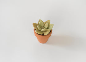 PTFL - Needle Felting Kit -Succulent - 0