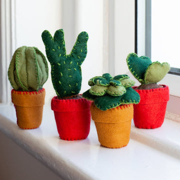 WCC - Felt Craft Kit - Easy Care Cactus