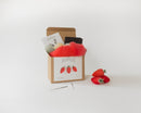 PTFL - Needle Felting Kit -ÊStrawberry-1