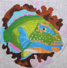 MP-B347 - Parrot Fish