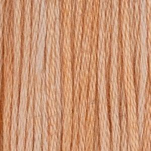 XXX-HOB - Floss - 012C - Blossom