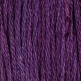 XXX-HOB - Floss - 019A - Aster