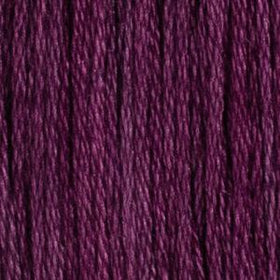 XXX-HOB - Floss - 019C - Aster