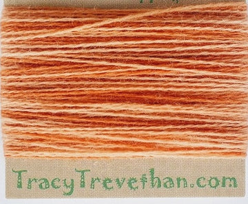 TT - Wool Thread - Gingersnap